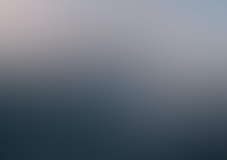 Hand-to-hand combat training